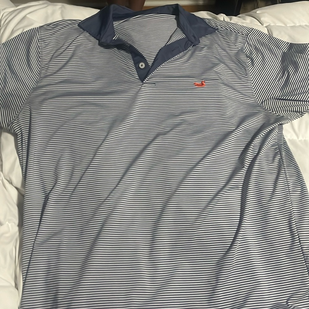 Southern Marsh Polo